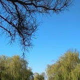 Юлия Бражникова, 15.08, Александрия