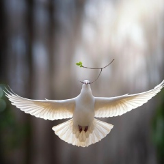 Alla Lupolova, Балашиха