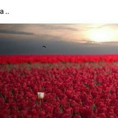 Фариза Абдикова, Астана