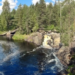 Владимир Волков, 01.11, Кингисепп