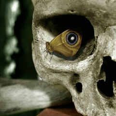 Андрей Запольский, 26.11.1984, Москва