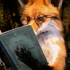 Ира Павлова, 10.12