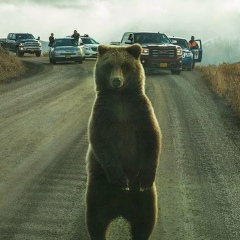Богдан Крят, 21.03
