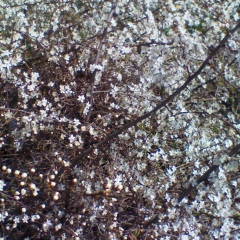 Вера Казинцева, 18.02, Таллин