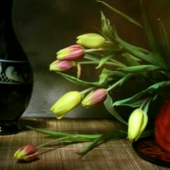 Ольга Трюхан, 30.08, Балашиха