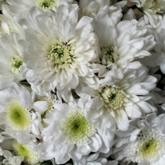 Катя Миронова, Пенза