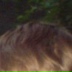 Игорян Толоконников, 03.06.2003, Лыткарино