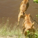 Елена Семенова, 22.05, Санкт-Петербург