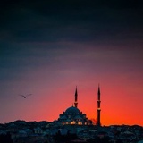 Рамзан Хасиев, 17.11, Москва