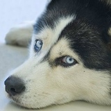 Павел Докучаев, 25.01.1982, Одинцово