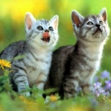 Нажмик Исмаилов, Махачкала