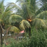 Руслан Кабалюк, 25.12.1985, Одесса