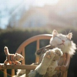 Наталия Замараева, 07.04.1987, Москва