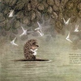 Илья Козулин, 05.08.1986, Санкт-Петербург