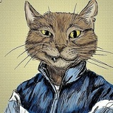 Александр Кузнецов, Тула