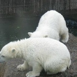 Светлана Бартенева, 29.01.1901, Санкт-Петербург