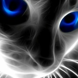 Елена Кунгурцева, 03.01, Пермь