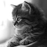 Таня Филиппова, 15.02.1988, Алматы