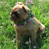 Анна Жуковская, 05.12, Москва