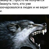 Турпал Виситаев, 14.08, Грозный