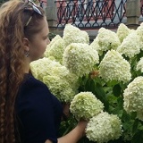 Екатерина Третьякова, 03.12, Ясный