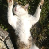 Дима Васечкин, 09.08.1901, Киев