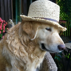 Дарья Плужникова, 21.07, Санкт-Петербург