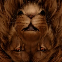 Станислав Волохов, 01.02.1990, Москва