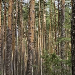 Ольга Джувага, 26.09, Белгород