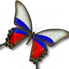 Артем Чутков, 27.12.1982, Тула