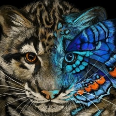 Ульфат Колчаков, Челябинск