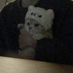 Natalia Kvit, 01.06, Якутск