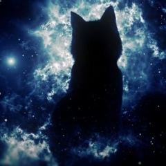 Костя Пелипенко, 07.06.1986