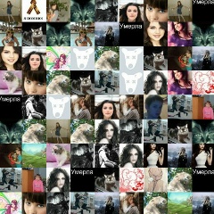 Гоша Фёдоров, Сургут