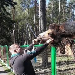 Николай Зубов, Орёл