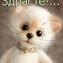 Юлия Прокофьева, 28.11