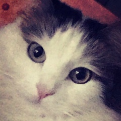 Елена Назарова, 12.09.1980, Выборг