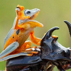 Алексей Каюмов, 21.04.1985, Санкт-Петербург