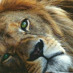 Bakhtiyar Argynbai, 10.03