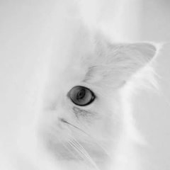 Вера Леонова, 22.09, Новосибирск