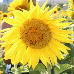 Евгения Русинова, 30.10, Санкт-Петербург