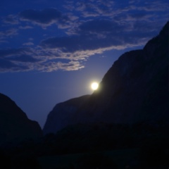 Алексей Фёдоров, 11.01, Бийск