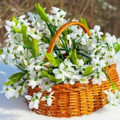 Наташа Алексеева, 05.07