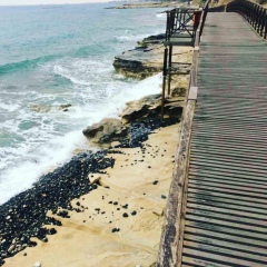 Дима Арманд, 04.06, Marseille