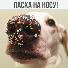 Дмитрий Иванченко, 12.11.1981, Нальчик