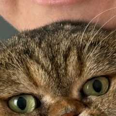 Светлана Мурашова, 18.03