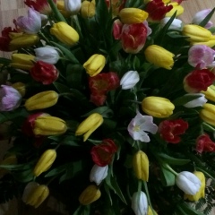 Нати ))), 30.03, Пятигорск