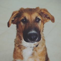 Кира Рубенчик, 28.05.1983, Ришон ЛеЦион