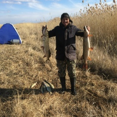 Санат Зайтенов, 17.11.1985, Усть-Каменогорск