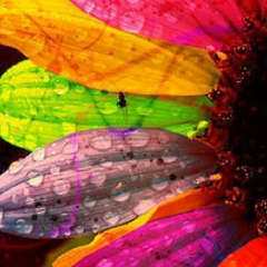 Nargiza Kh, 01.08.1998, Бахт